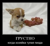 0tp.webp