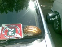 04062010.webp