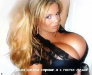 14.webp