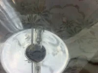 25062010052.webp