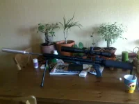 17032010030.webp