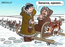 1333639.webp