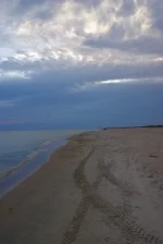 IMGP4399.webp