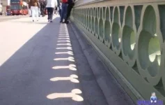 342034.webp