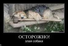 ЗС.webp