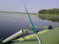 P110710_08.45.webp