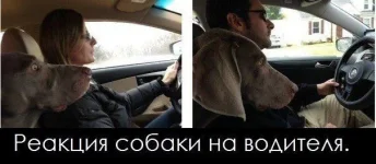kClrq8pYBOc.webp