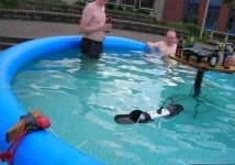 Бассейн_220.webp