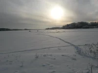 20141228_125819_thumb.webp