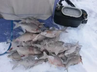 20141228_095723_thumb.webp
