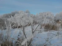 20141228_125804_thumb.webp