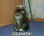 2sU-vKe5KO0.webp