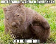 10690225_883411081709158_2444108599885831362_n.webp