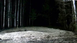 Скриншот 05.03.2015 34744.webp