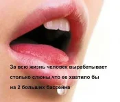 99306492_1316552190_0980.webp