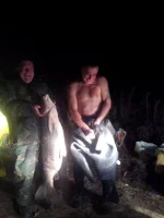 Амуряка.webp