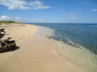 tururu004.webp