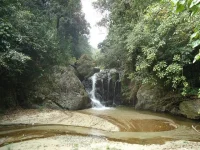 bocayna1.webp