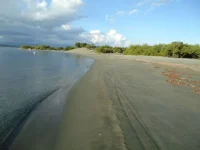 derrumbao.webp