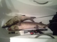 20140629_071855.webp