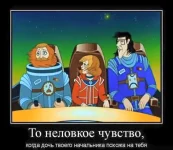 11046434_1101019943258301_3495013331609767490_n.webp