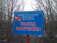 14281422081081461047093.webp