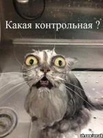 CBGq65R0D3Q.webp