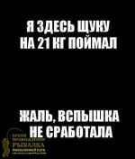q8pwstpnNk8.webp