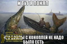 vgVG67qqBN4.webp