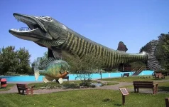 getImage.webp
