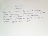сочинение.webp