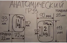354.webp