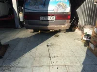 BzHNUQLri4M.webp