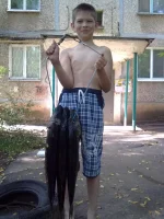 260720151077.webp