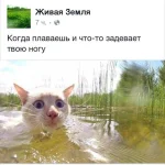 10403283_698051450325386_5969301630171275440_n.webp