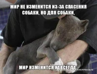 AlY2zHADIdA-Д.webp
