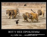 Ucw1eDIF1rY=Д.webp