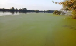 20150918_072439.webp