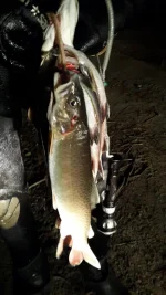 20150927_224133.webp