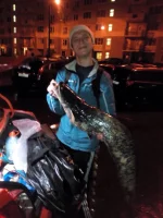 image.webp