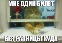 FB_IMG_1443797506167.webp