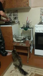 20151011_023406.webp