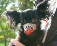 12107092_1049014155129087_183455990006982925_n.webp