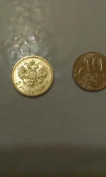 IMAG1153.webp