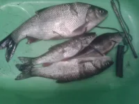20151026_085050.webp