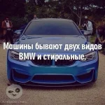 12316065_1731609607059173_3931382424983323926_n.webp