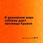 12342371_1531177077203034_7872741446476846610_n.webp