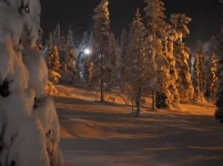 PC011592.webp