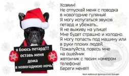 12366365_797400757054779_4839273925078776991_n.webp