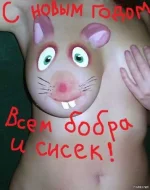 file.webp